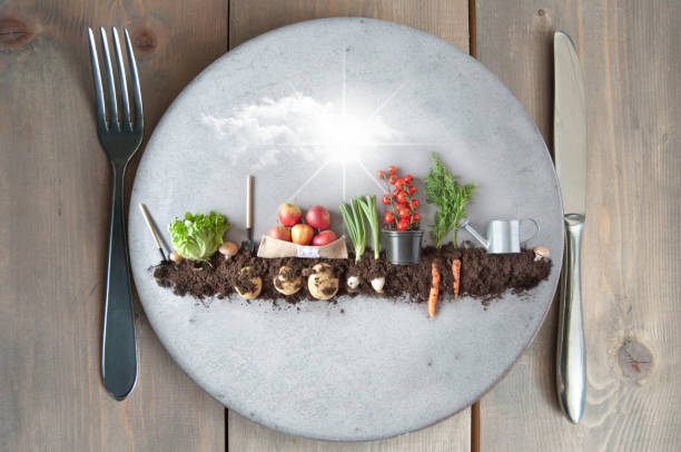 Wie beeinflussen Essgewohnheiten unseren